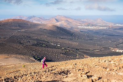 Randonnée à la Montana Guardilama qui domine la vallée viticole de La Geria - Lanzarote - Iles Canaries - Espagne