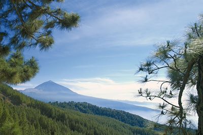 Parc national de Teide - Ténérife - Espagne