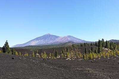 Parc national du Teide - Tenerife -  Îles Canaries - Espagne