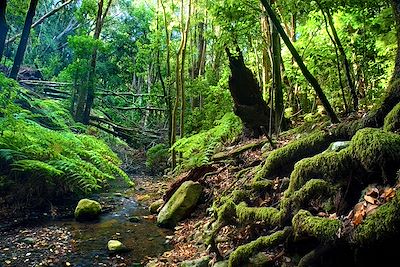 Gomera - Canaries