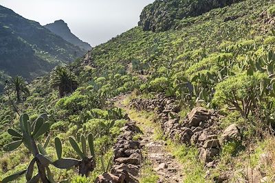 Sur le sentier de randonnée qui part du village d'El Cercado et descend le ravin d'Argaga jusqu'à la vallée Gran Rey - La Gomera - Iles Canaries - Espagne