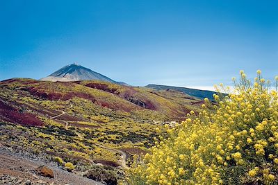 Tenerife - Canaries