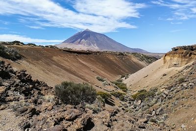 Parc national du Teide - Tenerife -  Îles Canaries - Espagne