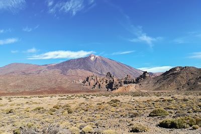 Parc national du Teide - Tenerife -  Îles Canaries - Espagne