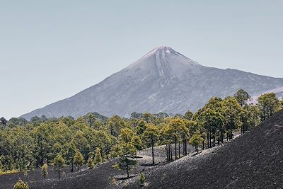 Volcan Teide - Tenerife - Îles Canaries - Espagne