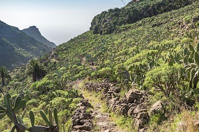 Sur le sentier de randonnée qui part du village d'El Cercado et descend le ravin d'Argaga jusqu'à la vallée Gran Rey - La Gomera - Iles Canaries - Espagne