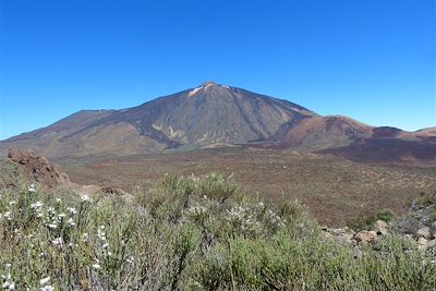 Tenerife et Gomera: ascension, volcans, barrancos 