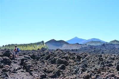 Vers les volcans Garachico et Chinyero entre forêt de pins canariens, volcans et cendres volcaniques - Tenerife - Canaries - Espagne