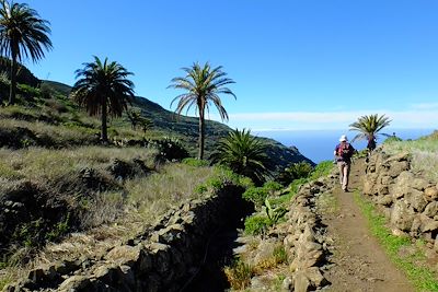 Barranco Valle Gran Rey - La Gomera - Canaries - Espagne