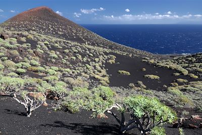 Littoral près de Fuencaliente - La Palma - Canaries - Espagne