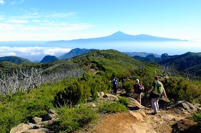 Garajonay - La Gomera - Canaries - Espagne