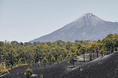 Volcan Teide - Tenerife - Îles Canaries - Espagne