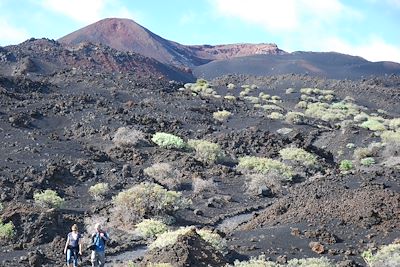 Volcan San Antonio et Teneguia - La Palma - Canaries