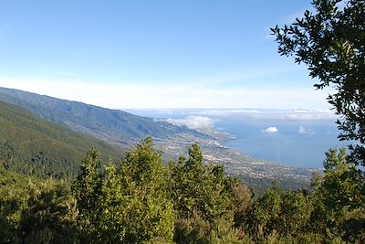 Route des volcans - La Palma - Iles Canaries