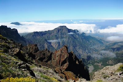 Canaries – île de La Palma – Los Molinos de Breñas Garden