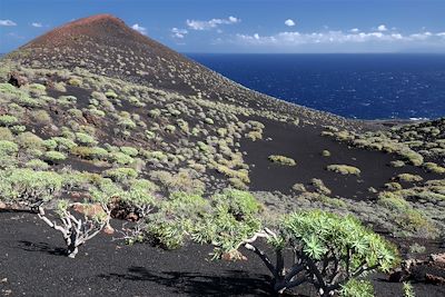 Littoral près de Fuencaliente - La Palma - Canaries - Espagne