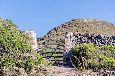 Majorque - Baléares - Espagne