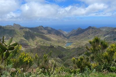 Tenerife, terre de contrastes