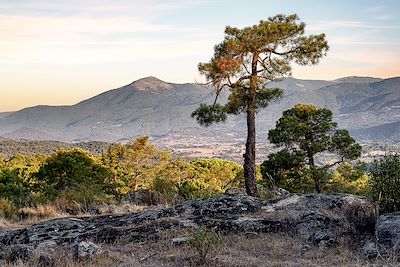 Sierra de Gredos - Espagne