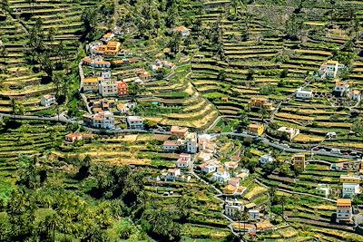 Vallée Gran Rey - la Gomera - Iles Canaries - Espagne