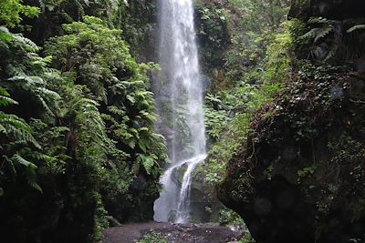 Les Cascades de Marcos et Cordero - Canaries