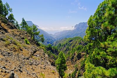 La Caldera de Taburiente - La Palma - Canaries - Espagne