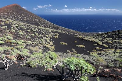 Littoral près de Fuencaliente - La Palma - Canaries - Espagne