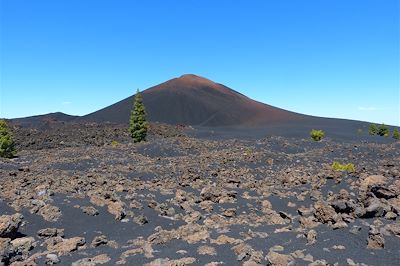 Vers les volcans Garachico et Chinyero entre forêt de pins canariens, volcans et cendres volcaniques - Tenerife - Canaries - Espagne