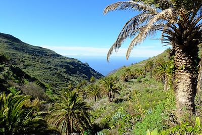 Barranco Valle Gran Rey - La Gomera - Canaries - Espagne