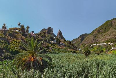 Tenerife et Gomera, randonnées enchantées