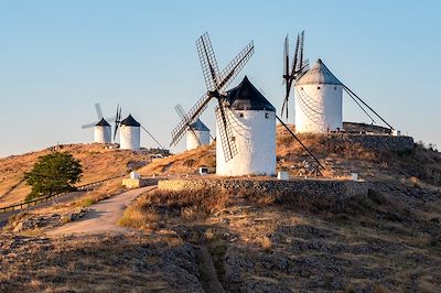 Moulins de Consuegra - Castille - Espagne