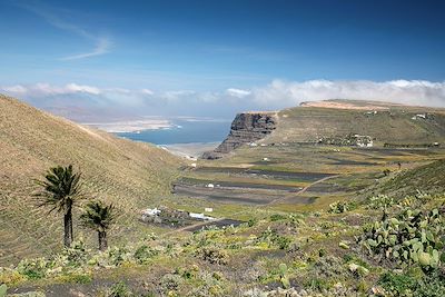 Vallée de Guinate - Lanzarote - Iles Canaries - Espagne