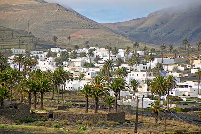 Haria dans la vallée des mille palmiers - Lanzarote - Iles Canaries - Espagne