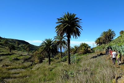 Barranco Valle Gran Rey - La Gomera - Canaries - Espagne