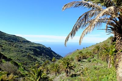 Barranco Valle Gran Rey - La Gomera - Canaries - Espagne