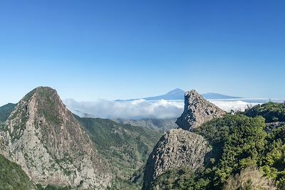 Parc national de Garajonay - La Gomera - Iles Canaries - Espagne