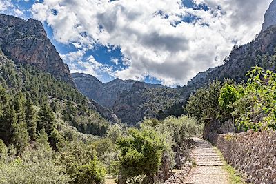 Le Barranc de Biniaraix - Majorque - Baléares - Espagne