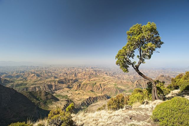 Voyage Des montagnes du Simien à Lalibela