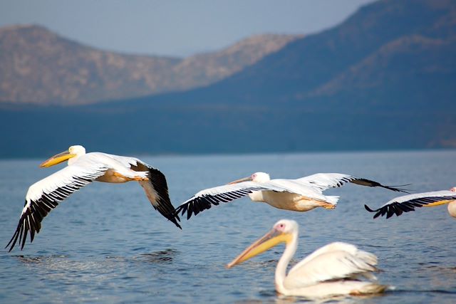 Voyage Peuples de la vallée de l’Omo et lacs du sud