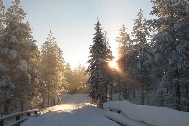 Voyage Ski de fond au cœur de la forêt boréale