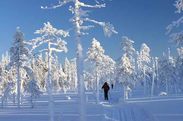 Voyage Ski de fond au cœur de la forêt boréale