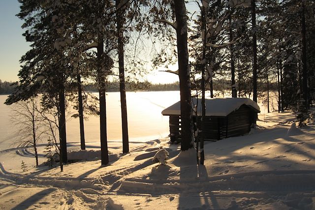 Voyage Ski de fond au cœur de la forêt boréale