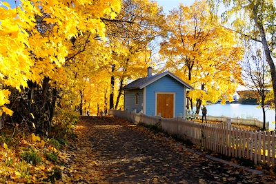 Linnunlaulu - Helsinki - Finlande