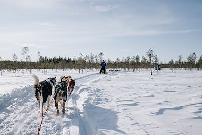 Laponie finlandaise - Finlande