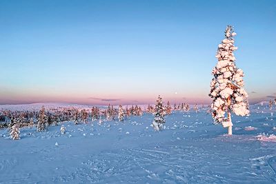 Tunturi de Kiilopää - Laponie - Finlande