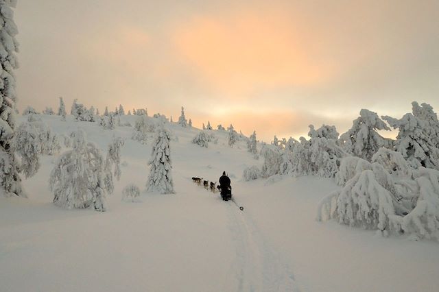 Voyage Raid en traîneau à chiens dans le Grand Nord 