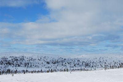 Près de Kiilopaa - Finlande