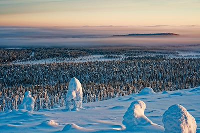 Multi-activités Finlande