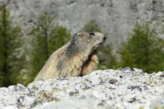 Image Piémont italien, entre Ubaye et Queyras