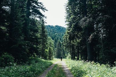 Le Vercors des 4 montagnes en VTT